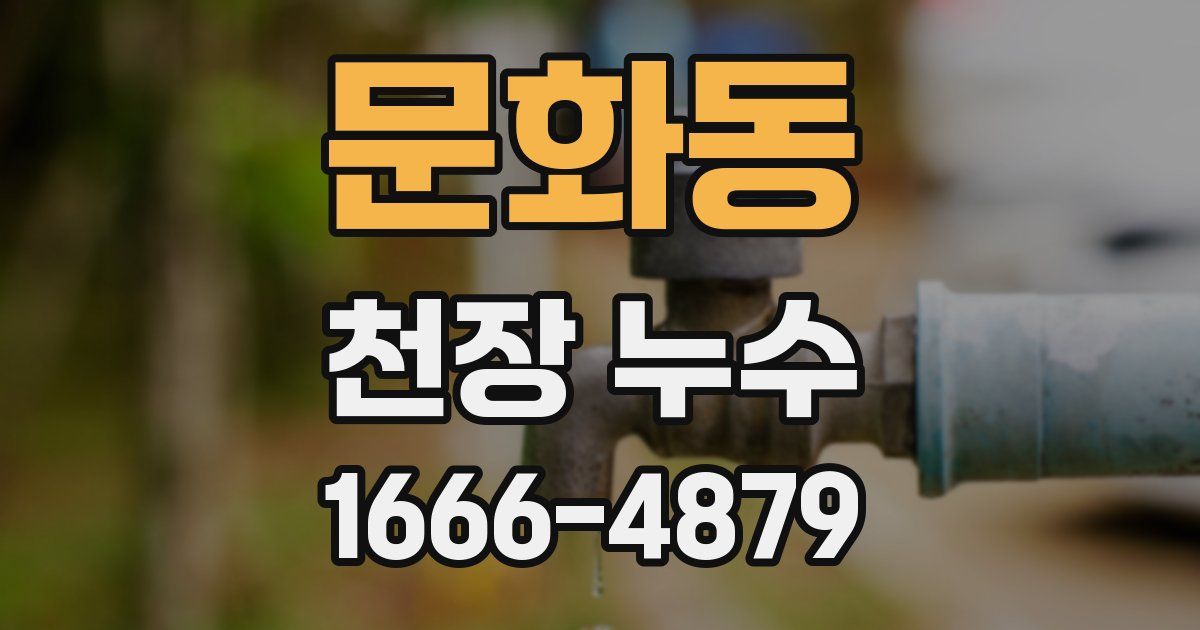 문화동 천장 누수