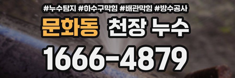 문화동 천장 누수