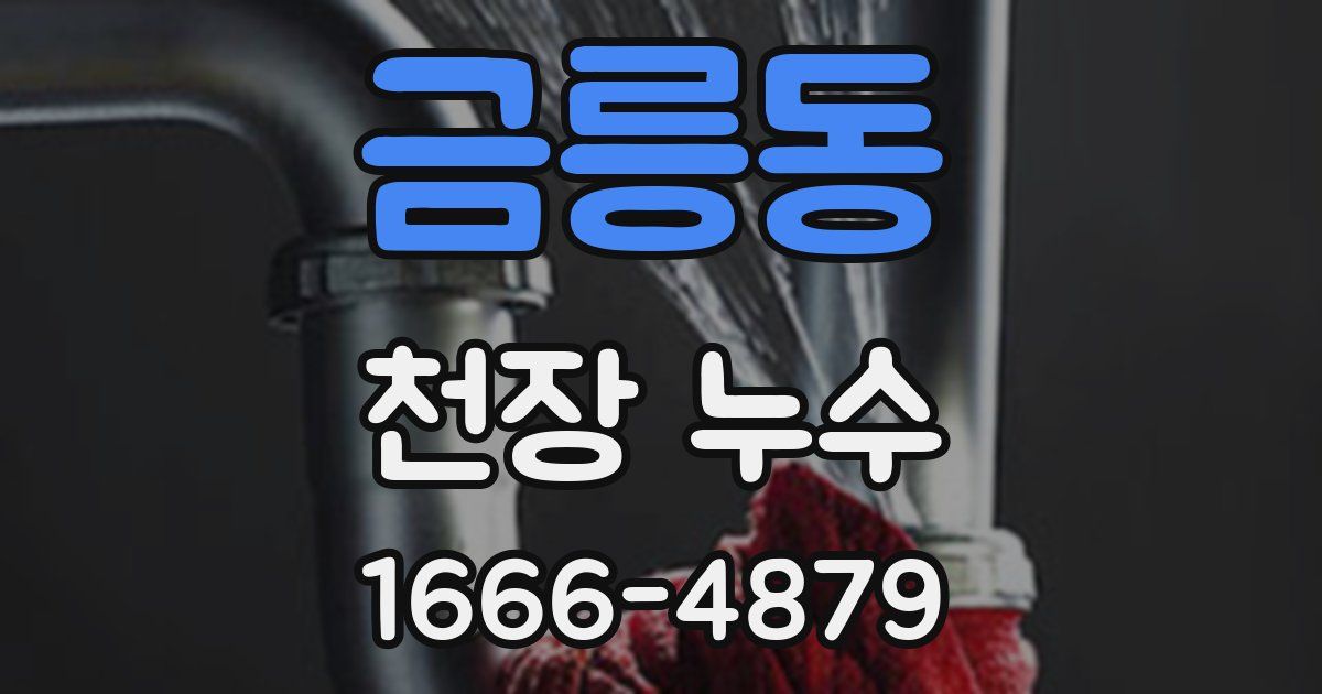 금릉동 천장 누수