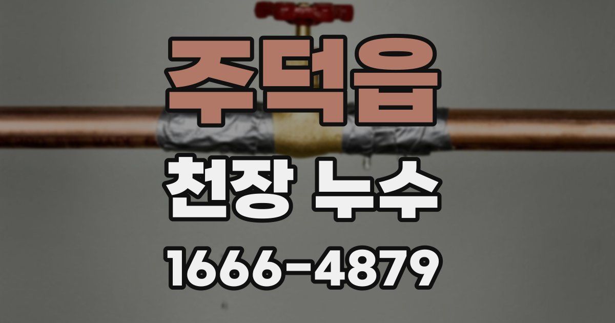 주덕읍 천장 누수