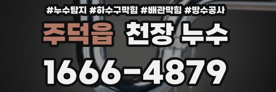 주덕읍 천장 누수