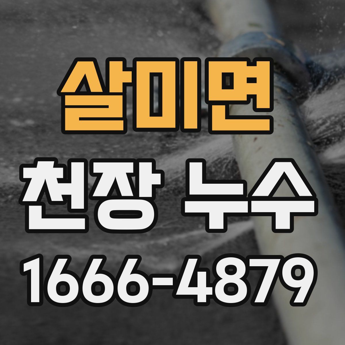 살미면 천장 누수