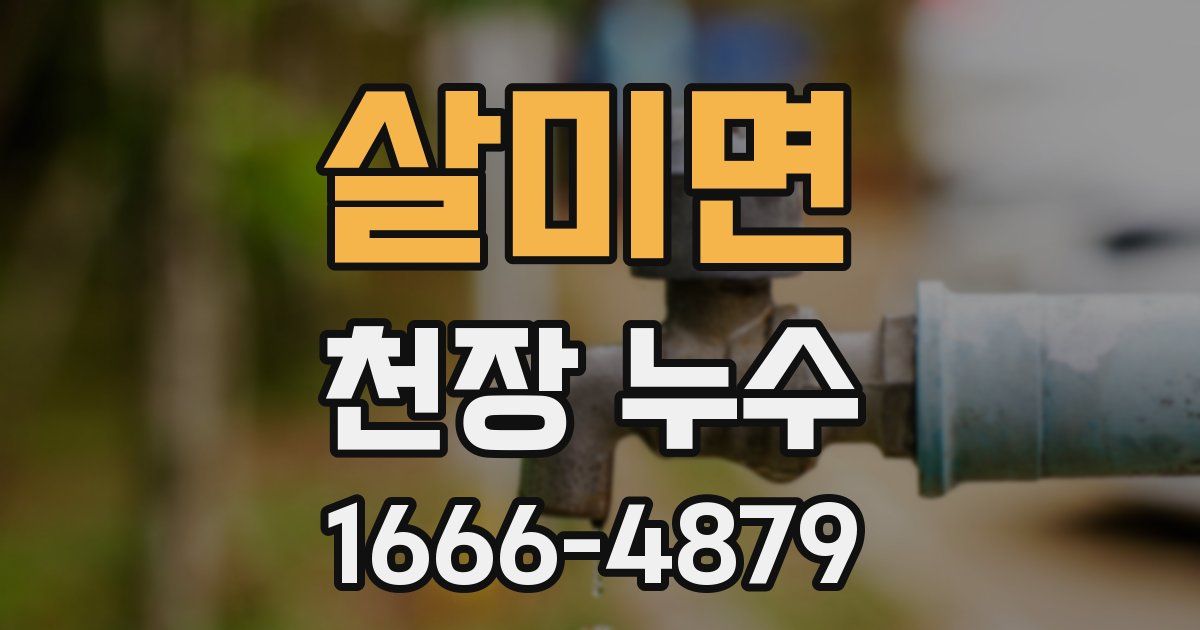 살미면 천장 누수