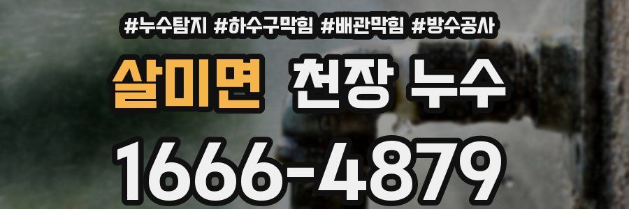 살미면 천장 누수