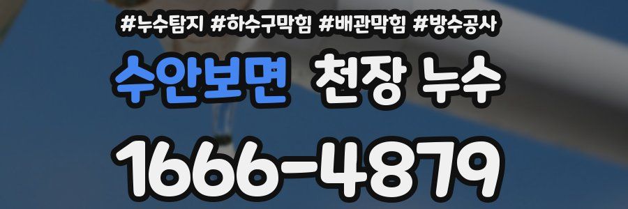 수안보면 천장 누수