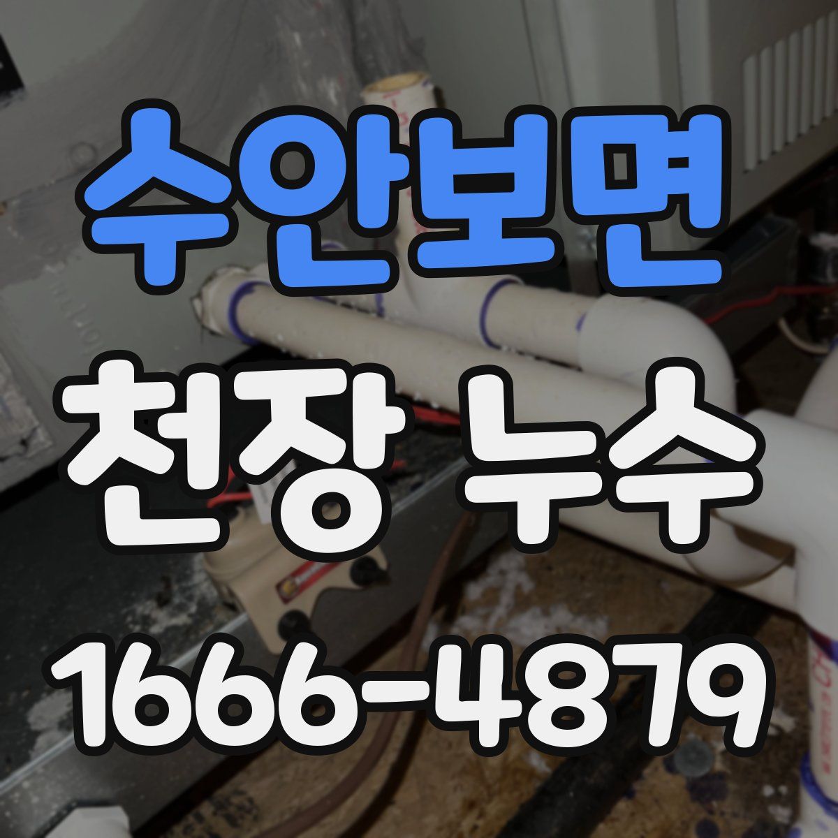 수안보면 천장 누수
