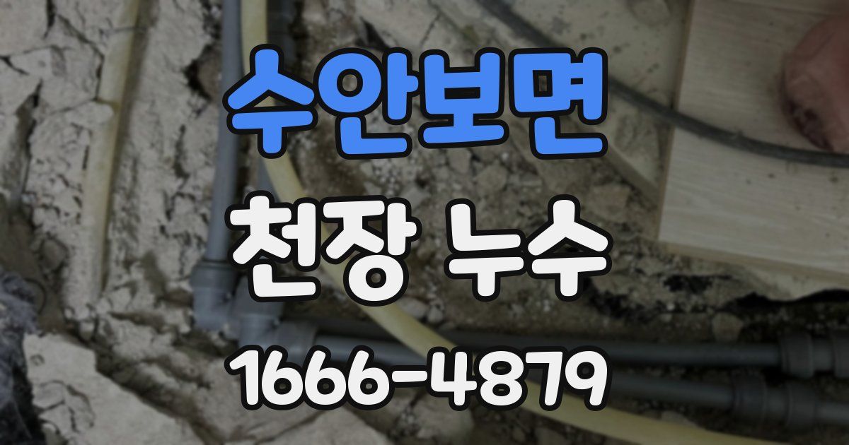 수안보면 천장 누수