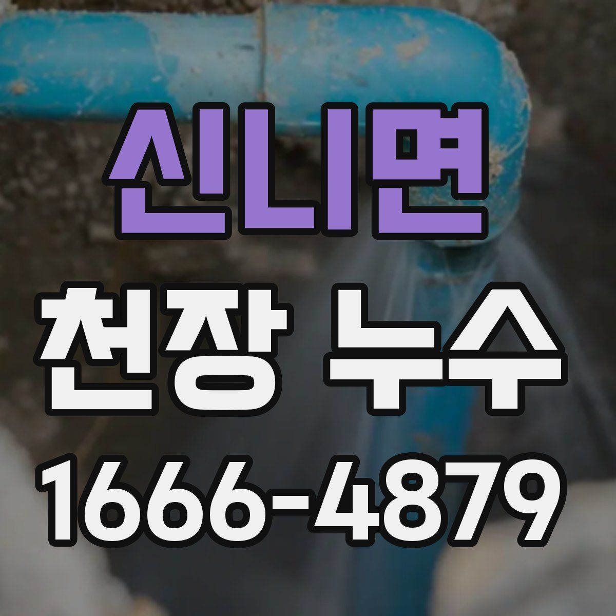 신니면 천장 누수