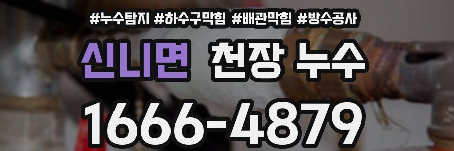신니면 천장 누수