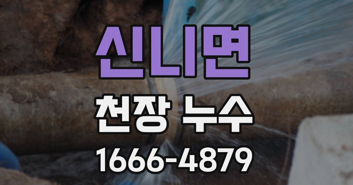 신니면 천장 누수