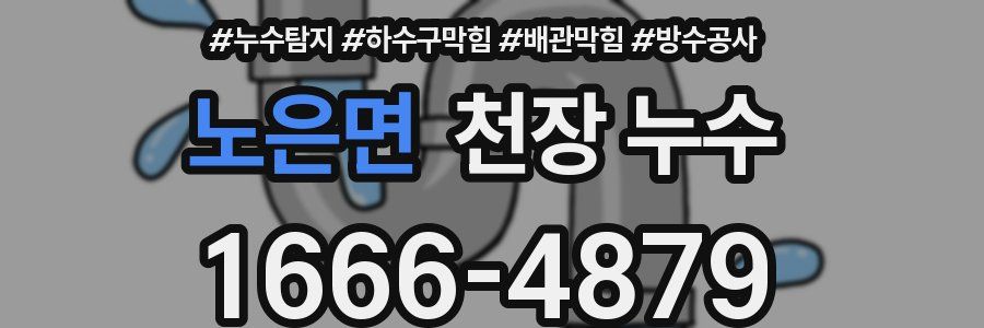 노은면 천장 누수