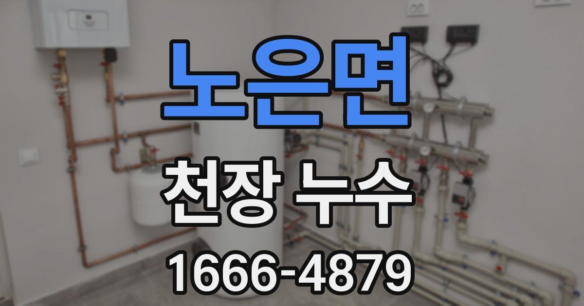 노은면 천장 누수