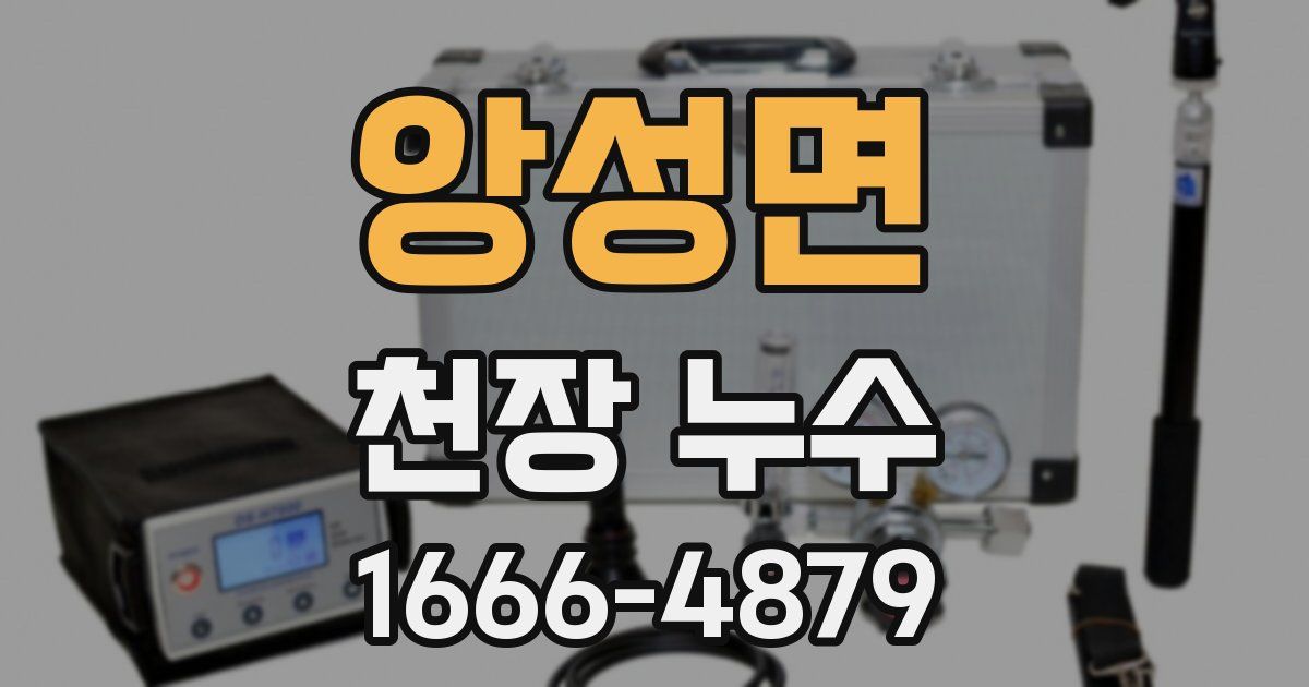 앙성면 천장 누수