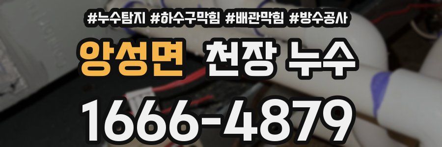 앙성면 천장 누수