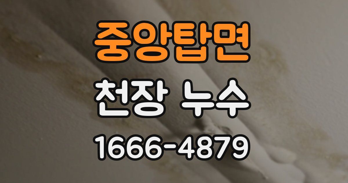 중앙탑면 천장 누수