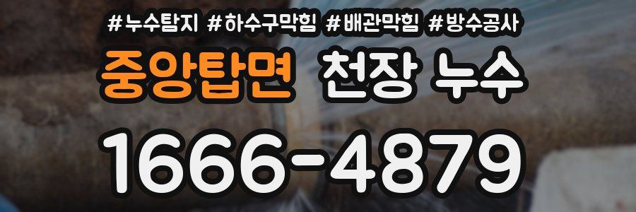 중앙탑면 천장 누수