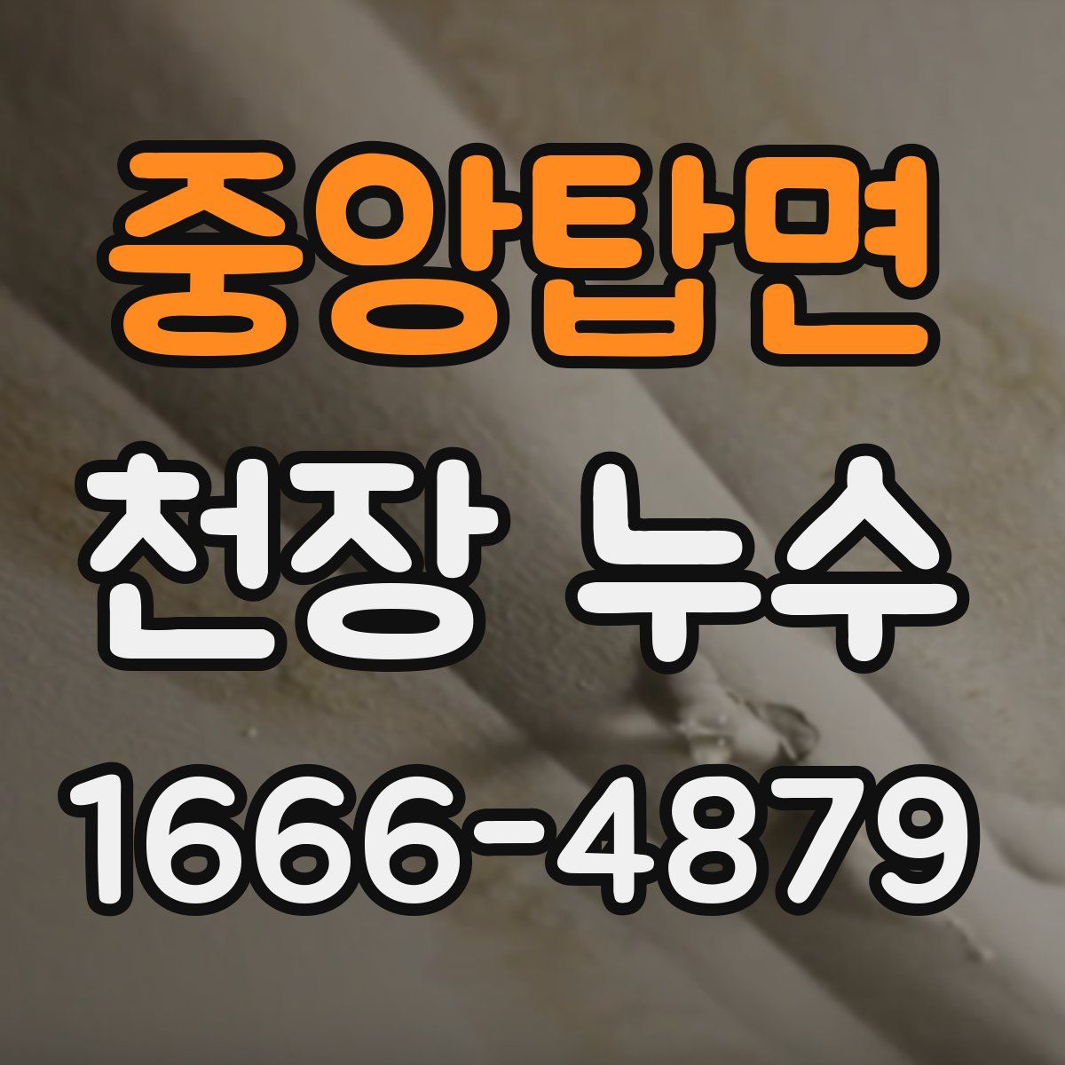 중앙탑면 천장 누수