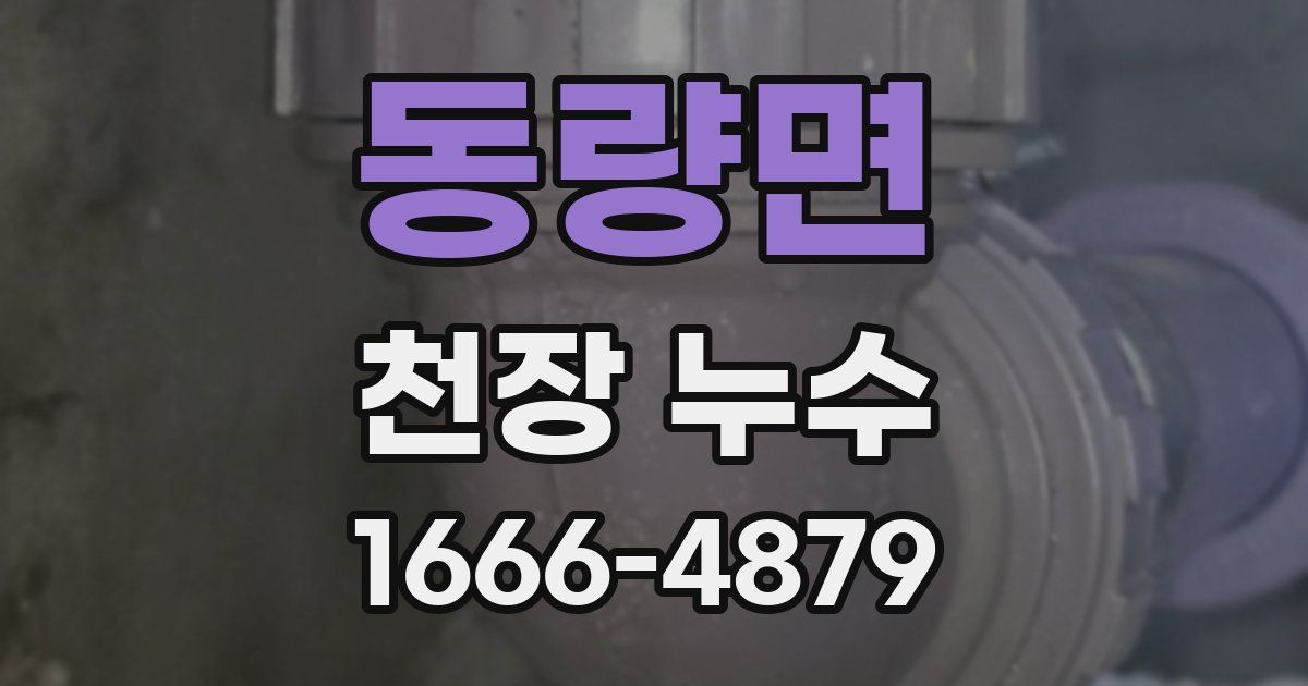 동량면 천장 누수