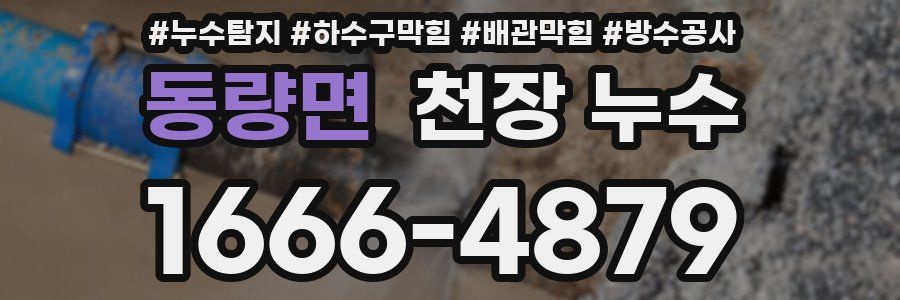 동량면 천장 누수