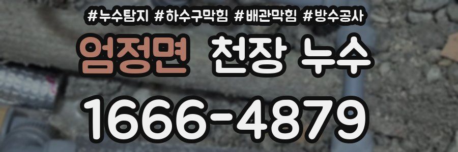 엄정면 천장 누수