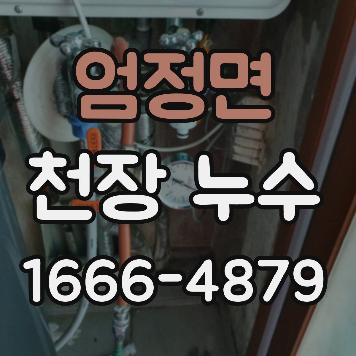 엄정면 천장 누수