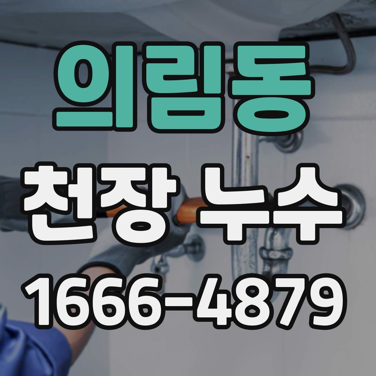 의림동 천장 누수