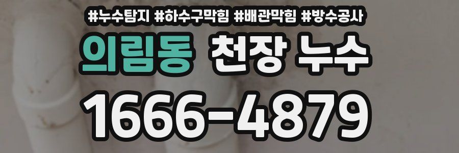 의림동 천장 누수