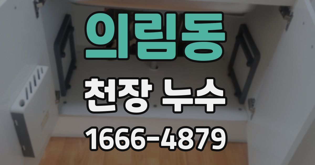 의림동 천장 누수