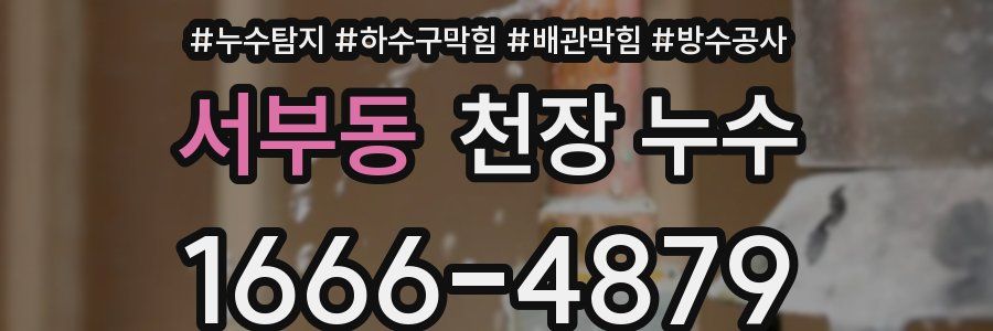 서부동 천장 누수