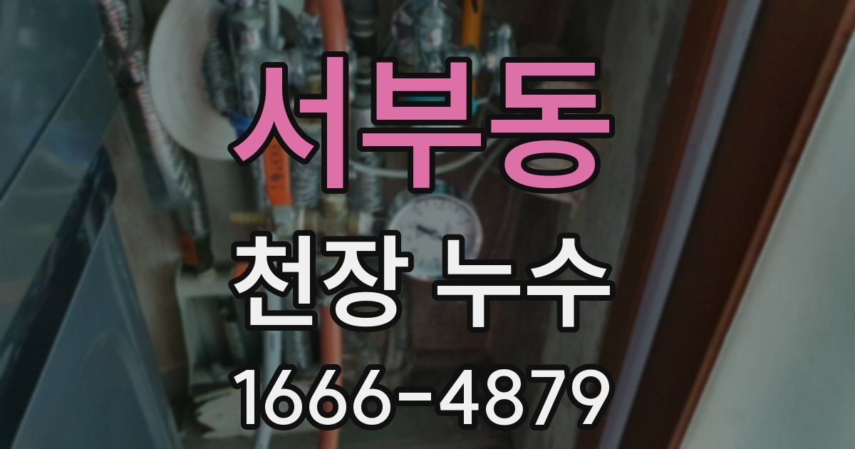 서부동 천장 누수
