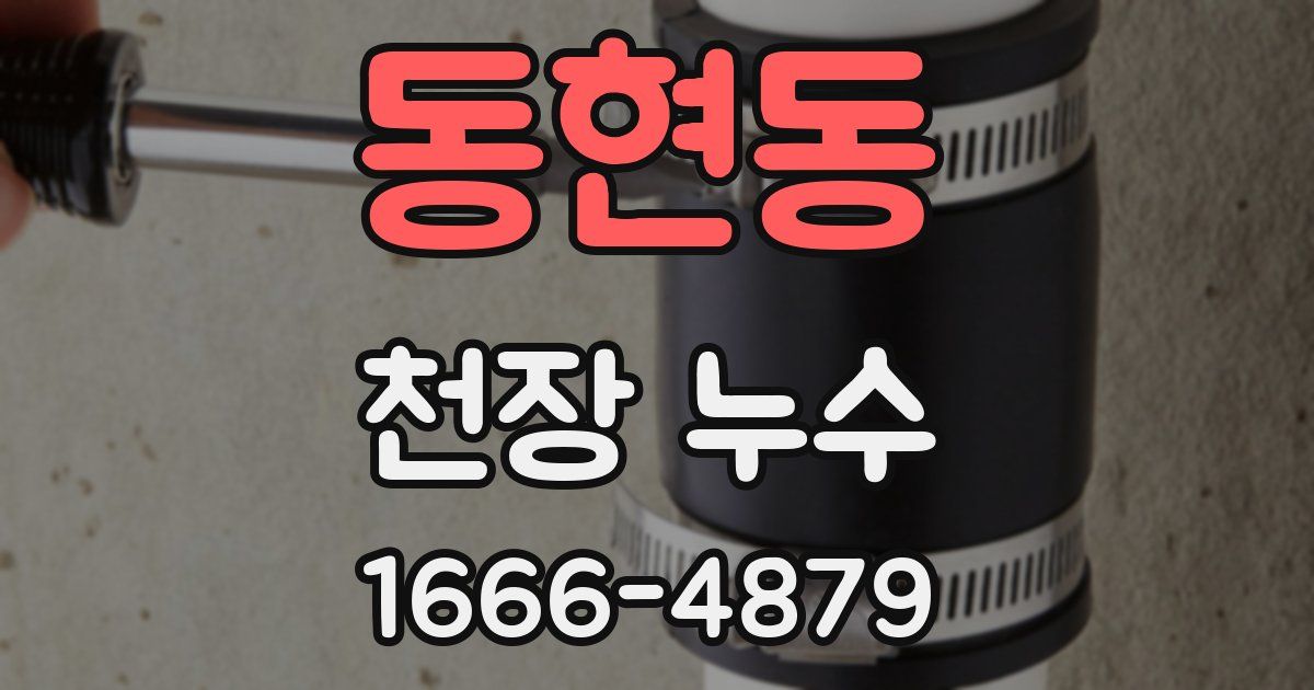 동현동 천장 누수