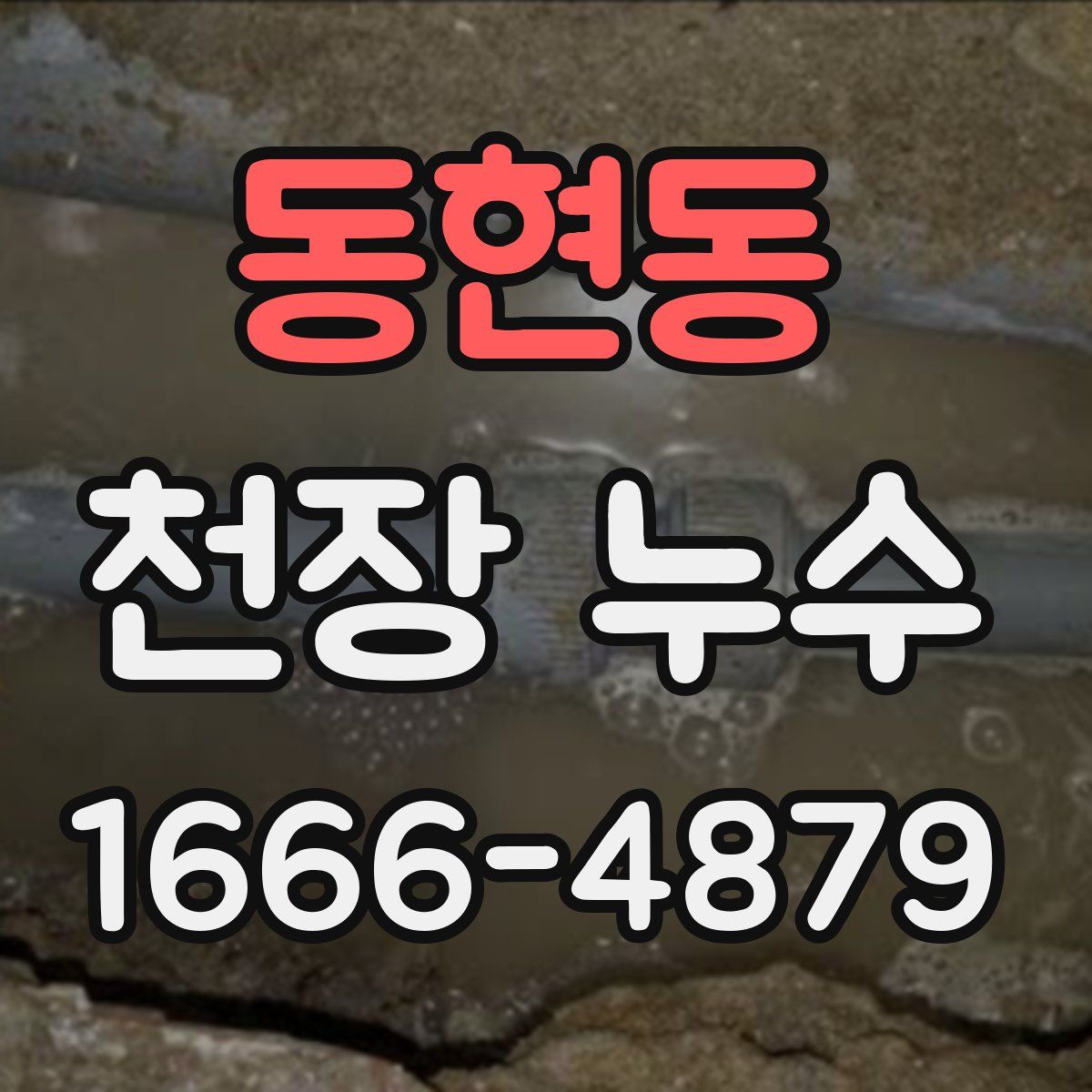 동현동 천장 누수
