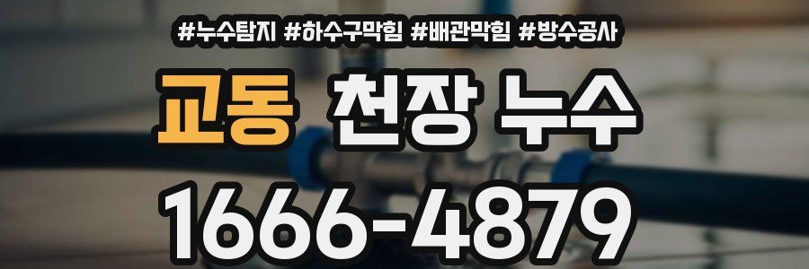 교동 천장 누수