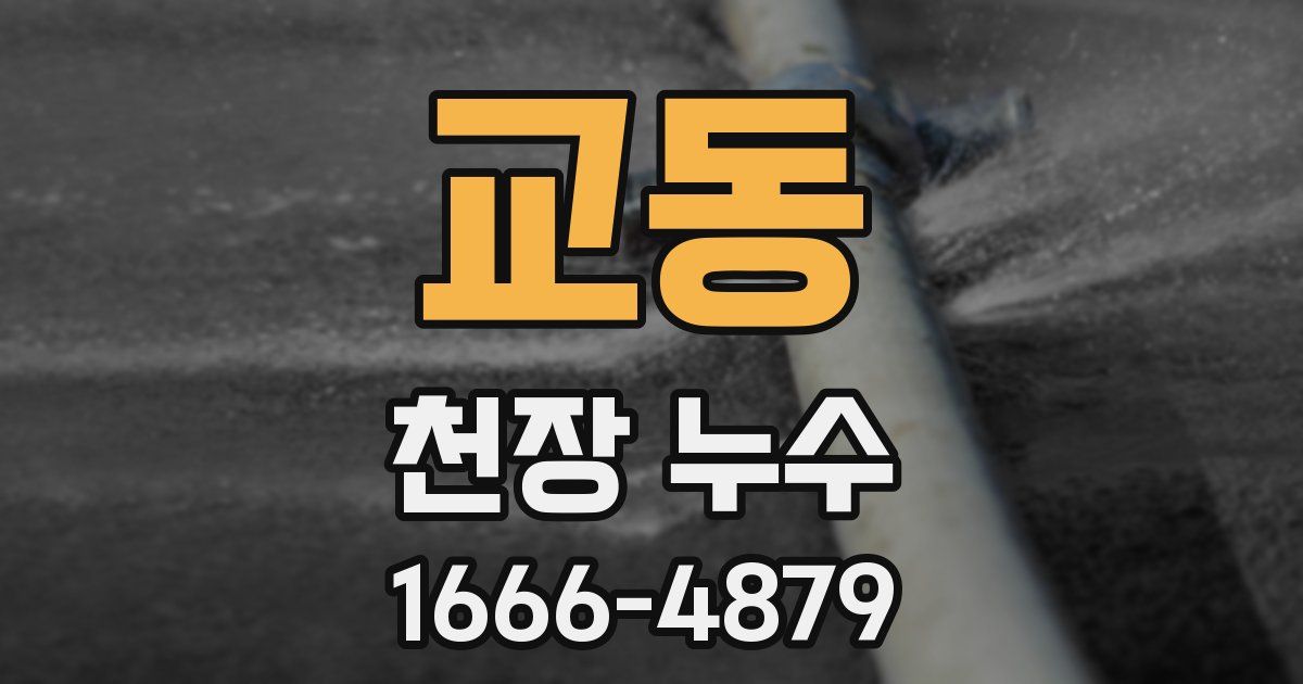 교동 천장 누수
