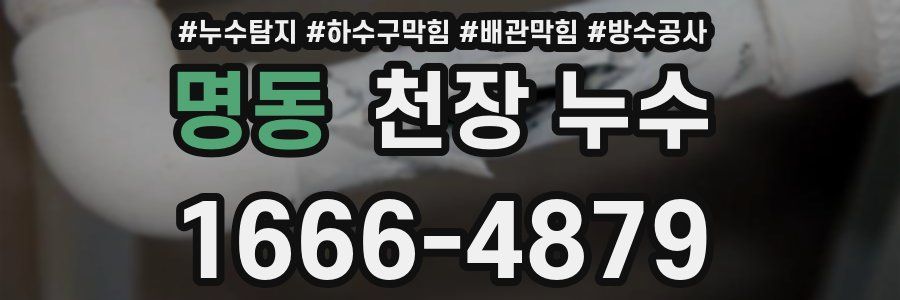 명동 천장 누수
