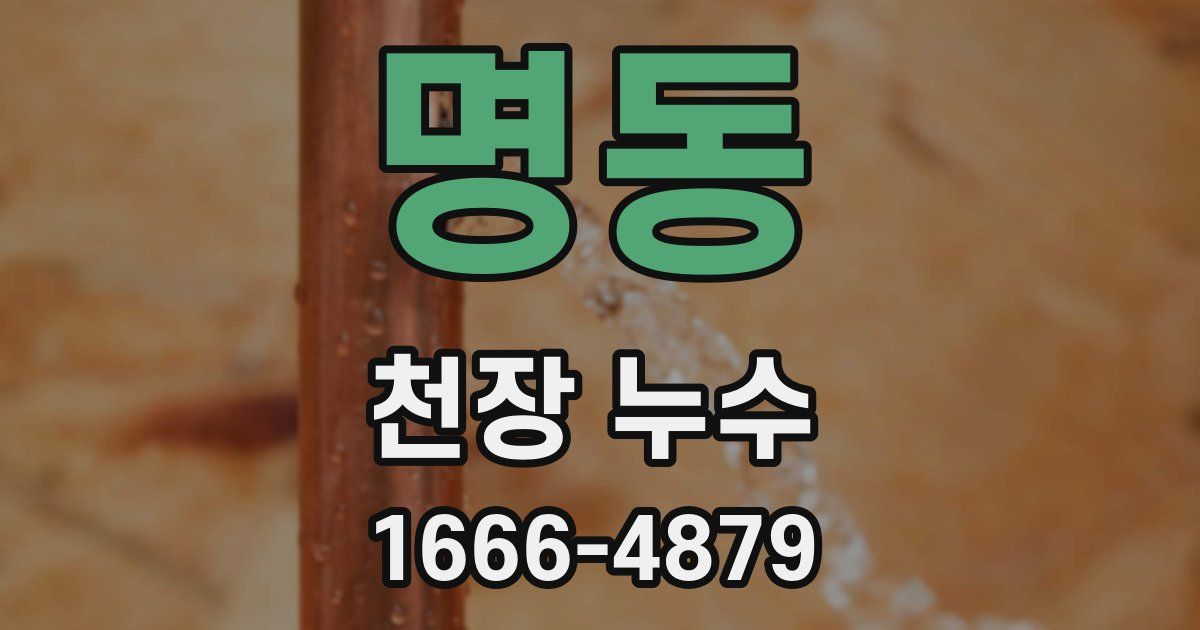 명동 천장 누수