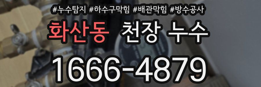 화산동 천장 누수