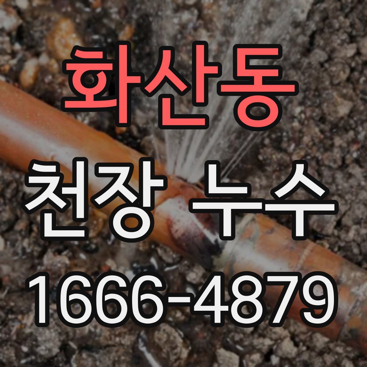 화산동 천장 누수