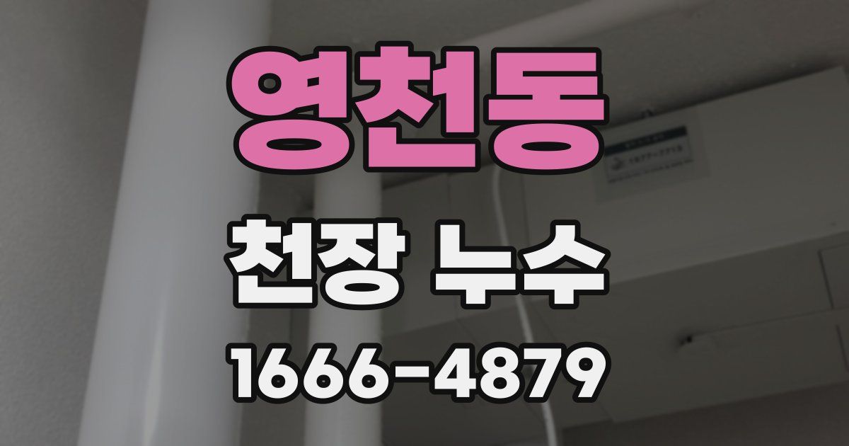 영천동 천장 누수