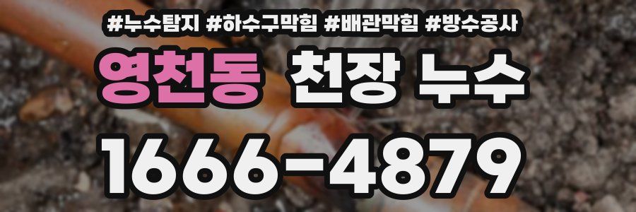 영천동 천장 누수