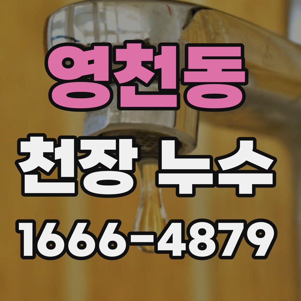 영천동 천장 누수