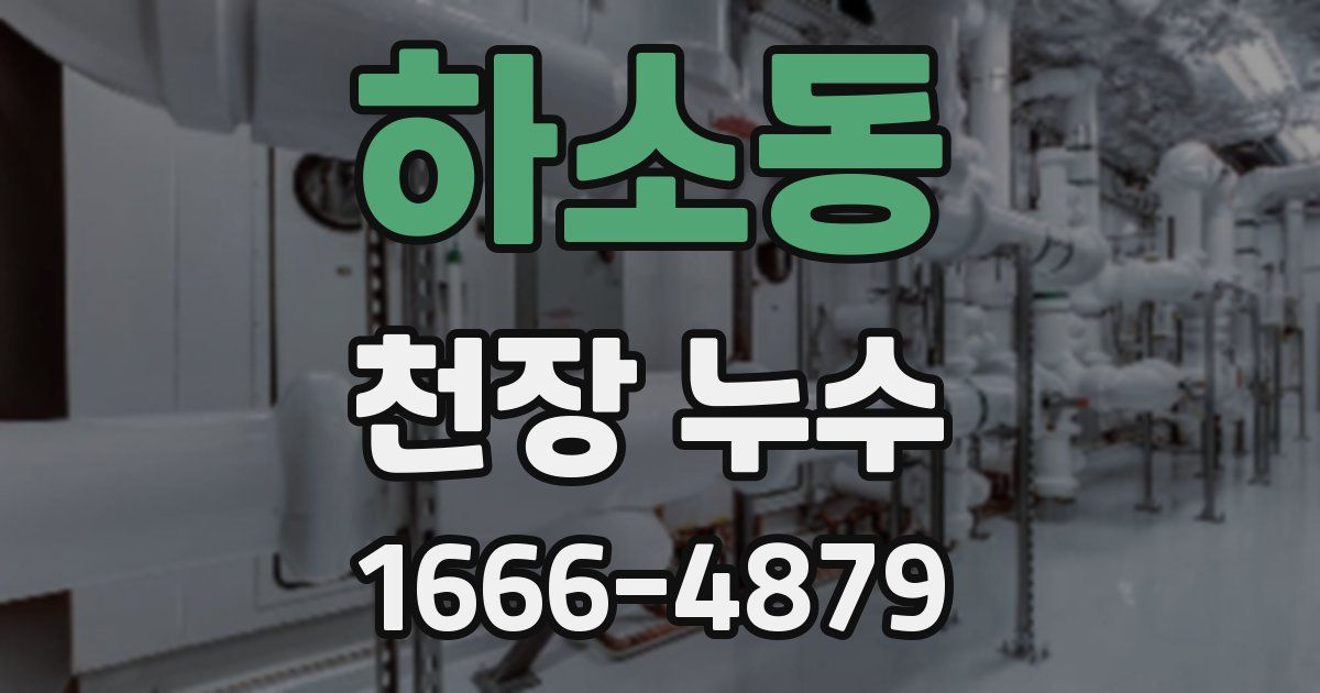 하소동 천장 누수
