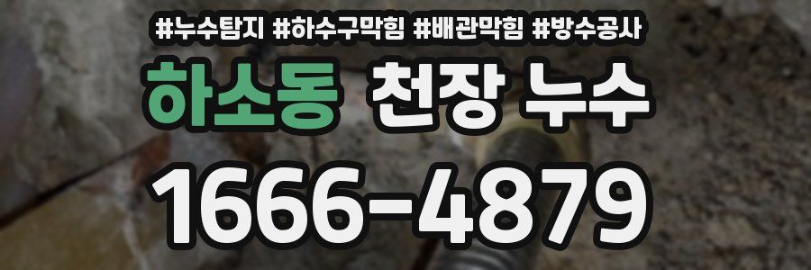 하소동 천장 누수