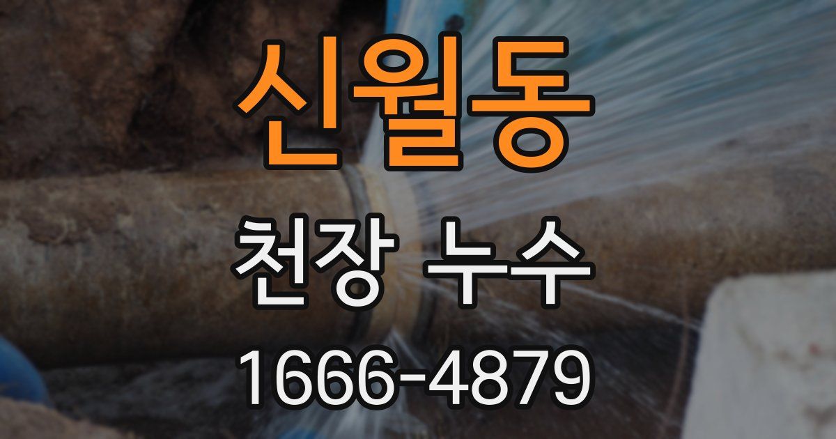 신월동 천장 누수