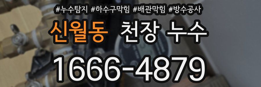 신월동 천장 누수