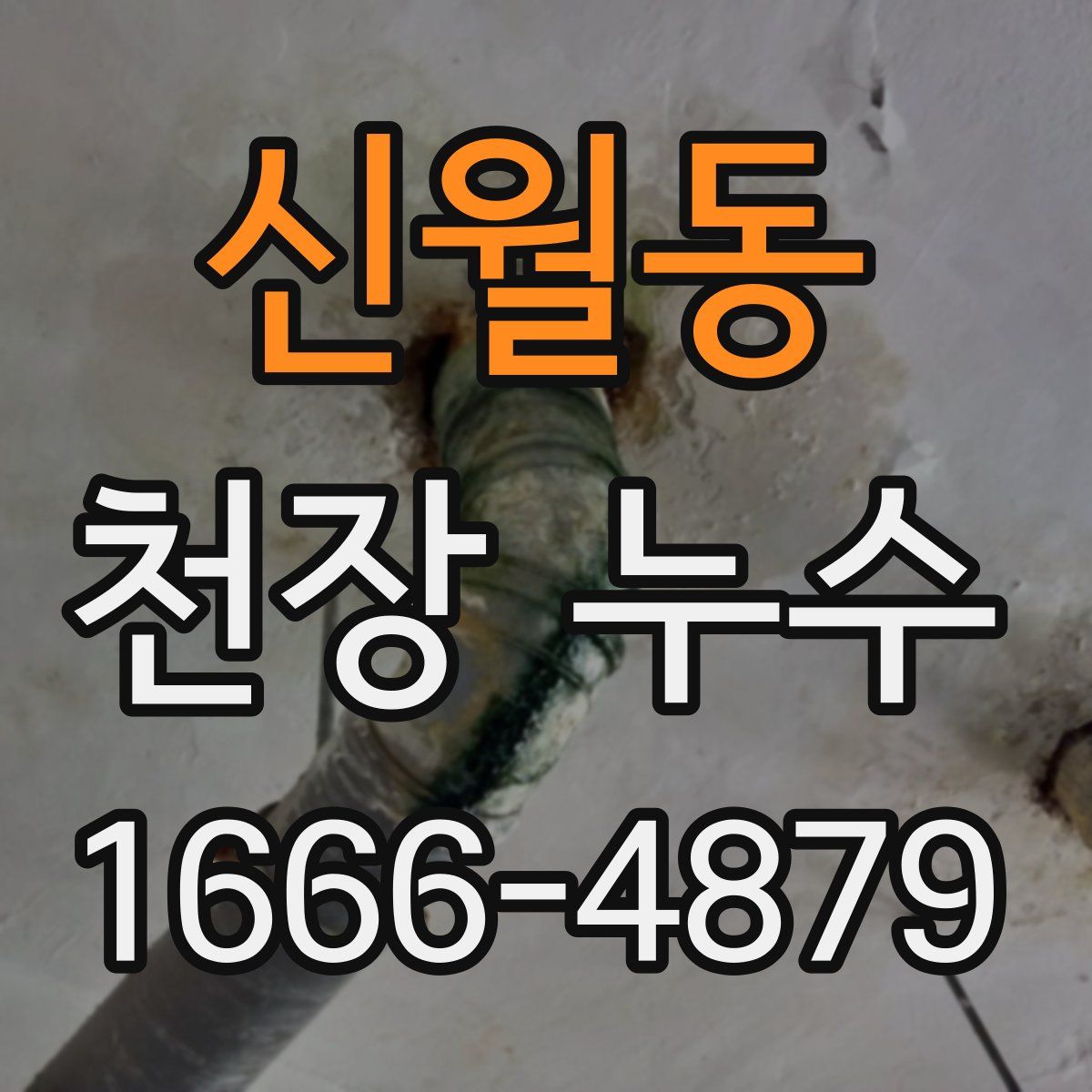신월동 천장 누수
