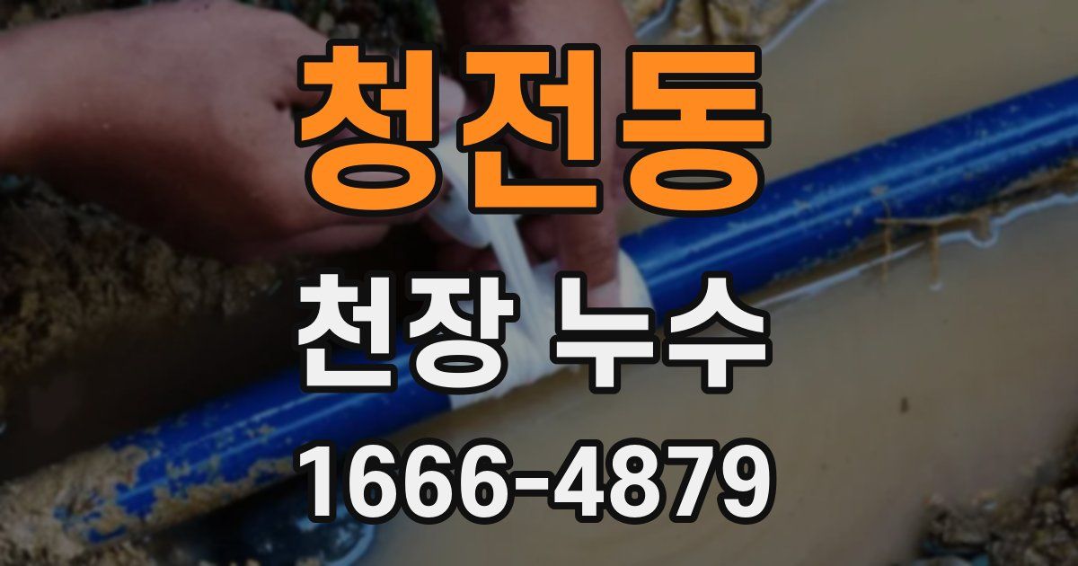 청전동 천장 누수