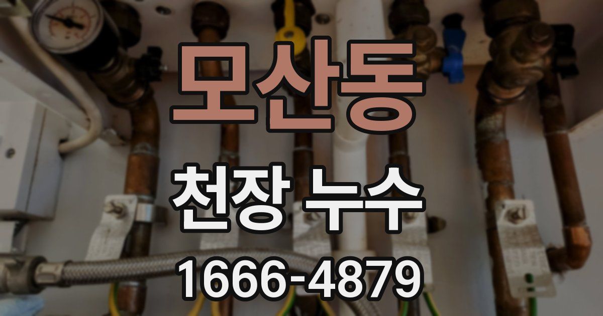 모산동 천장 누수