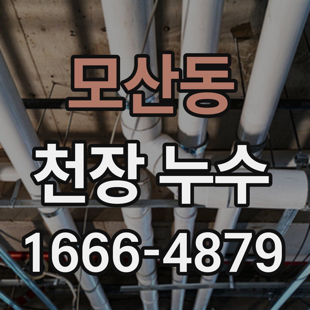 모산동 천장 누수