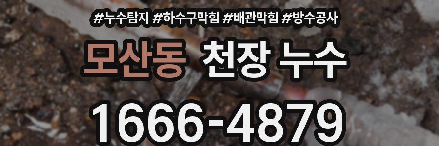 모산동 천장 누수